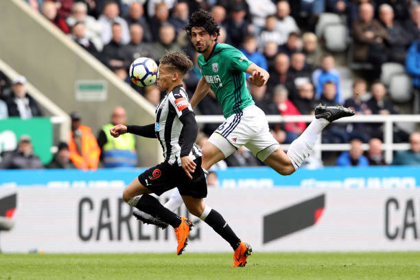 这场胜利不 这场胜利不