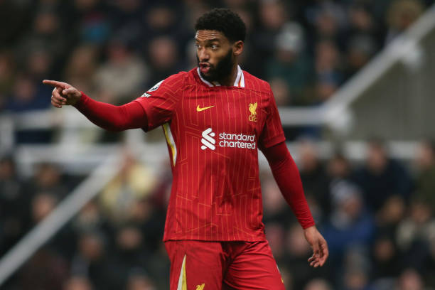 的发展历程 的发展历程